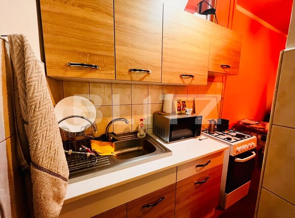 Apartament de vânzare 2 camere Astra - 135039AV | BLITZ Brașov | Poza4