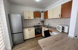 Garsoniera, 40 mp, balon, centrala, zona Interservisan