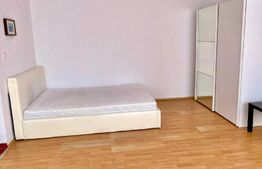 Apartament 1 camera, 40 mp, finisat, utilat, zona Calea Baciului
