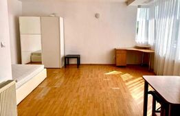 Apartament 1 camera, 40 mp, finisat, utilat, zona Calea Baciului