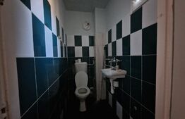 Casa individuala, 4 camere, 200mp, zona Somesului