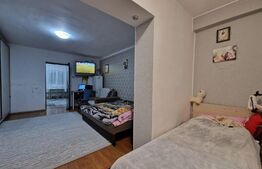 Apartament 1 camera, 40mp, Iris