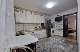 Apartament 1 camera, 40mp, Iris