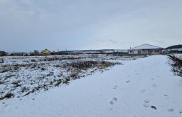 Teren intravilan, 1000mp, Jucu de Mijloc