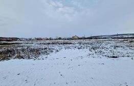 Teren intravilan, 1000mp, Jucu de Mijloc