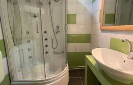 Apartament la casa cu 1 camera, 40mp, curte, zona strazii Horea