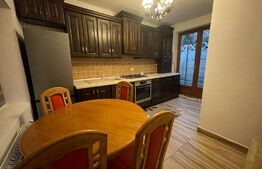 Apartament la casa cu 1 camera, 40mp, curte, zona strazii Horea