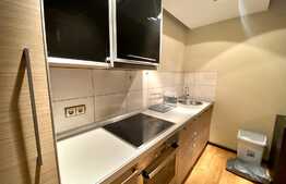 Apartament 2 camere, 71 mp, semidecomandat, parcare, mobilat lux, zona strazii hasdeu,zona UMF 