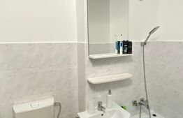 Apartament cu 1 camera, 25mp, etaj intermediar, zona Mehedinti 