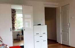 1 camera, 31 mp, mobilat modern, la prima inchiriere, zona 13 Septembrie