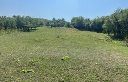 Teren intravilan, 3382 mp, front 24 ml, Corusu 