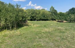 Teren intravilan, 3382 mp, front 24 ml, Corusu 