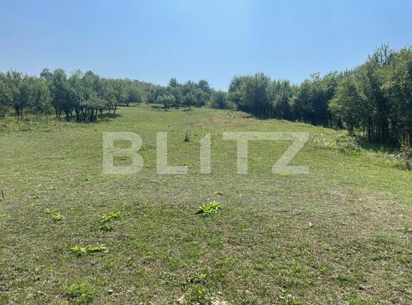 Teren de vânzare Coruşu - 135336TV | BLITZ Cluj-Napoca | Poza2