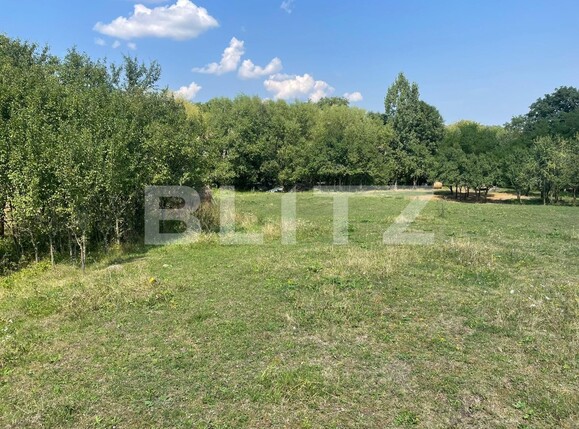 Teren de vânzare Coruşu - 135336TV | BLITZ Cluj-Napoca | Poza1