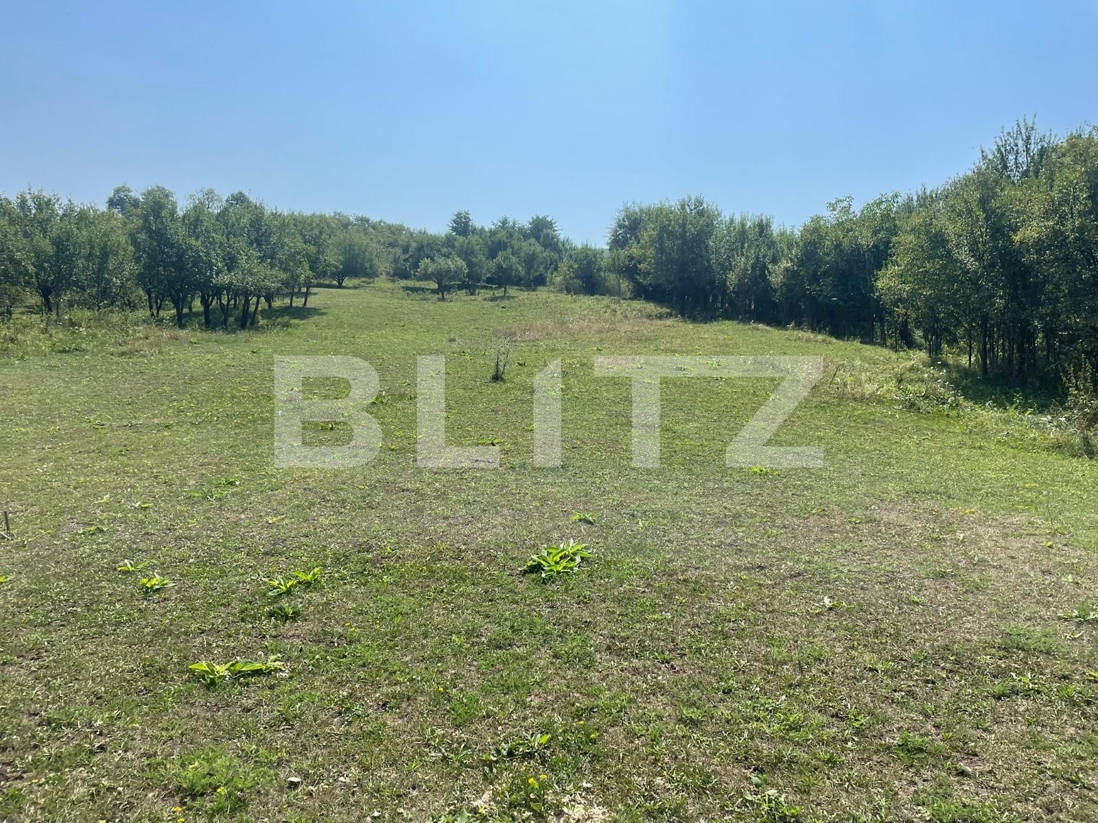 Teren de vânzare Coruşu - 135336TV | BLITZ Cluj-Napoca | Poza2