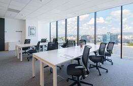 Birouri All-inclusive Regus, 2-22 persoane, mobilate si echipate, Iulius Mall