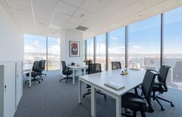 Birouri All-inclusive Regus, 2-22 persoane, mobilate si echipate, Iulius Mall