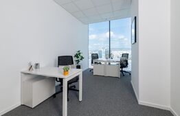 Birouri All-inclusive Regus, 2-22 persoane, mobilate si echipate, Iulius Mall