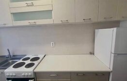 Apartament 2 camere, 50mp, parcare, Buna Ziua, zona strazii Mihai Romanul