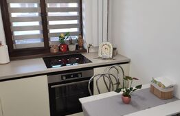 Garsonieră modernă de vânzare Sânpetru