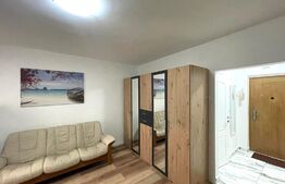 Apartament 2 camere, 30 mp, prima inchiriere, zona Constantin Brancusi