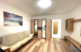 Apartament 2 camere, 30 mp, prima inchiriere, zona Constantin Brancusi