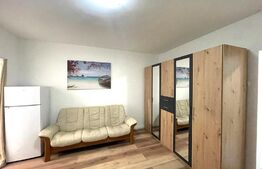 Apartament 2 camere, 30 mp, prima inchiriere, zona Constantin Brancusi