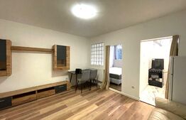 Apartament 2 camere, 30 mp, prima inchiriere, zona Constantin Brancusi