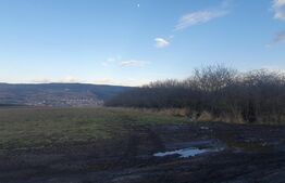 Parcele de teren, 560mp, cartierul Iris, livada Steluta