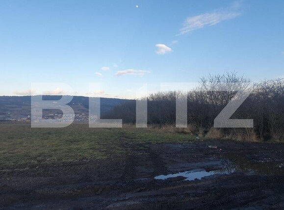 Teren de vânzare Iris - 135499TV | BLITZ Cluj-Napoca | Poza3