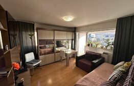 Apartament 1 camera, 36 mp,  Calea Turzii 