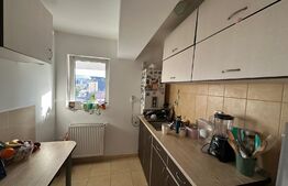 Apartament 1 camera, 36 mp,  Calea Turzii 