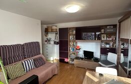 Apartament 1 camera, 36 mp,  Calea Turzii 