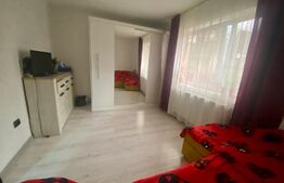Apartament 2 camere, 50 mp, gradina, decomandat, zona Oasului