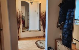 Apartament 3 camere, 57 mp, centrala proprie, etaj intermediar, zona Big