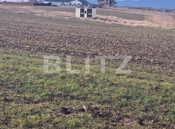 Teren de vânzare Sanpetru - 135611TV | BLITZ Brașov | Poza1