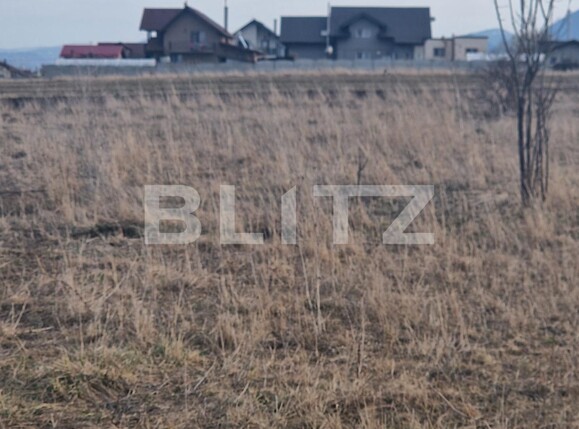 Teren de vânzare Sanpetru - 135611TV | BLITZ Brașov | Poza8