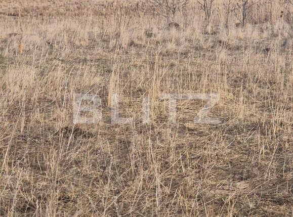 Teren de vânzare Sanpetru - 135611TV | BLITZ Brașov | Poza6