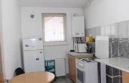 1 camera, 46 mp utili, mobilat modern, imobil nou, zona strazii Mircea Eliade