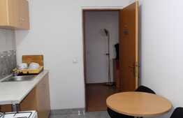 1 camera, 46 mp utili, mobilat modern, imobil nou, zona strazii Mircea Eliade