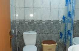 1 camera, 46 mp utili, mobilat modern, imobil nou, zona strazii Mircea Eliade