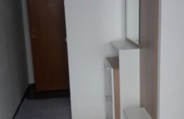 Apartament 1 camera, zona centrala