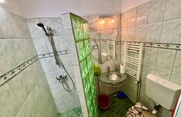 Apartament 1 camera, 33 mp, garaj, curte privata, zona Horea