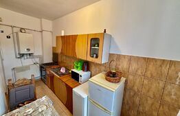 Apartament 1 camera, 33 mp, garaj, curte privata, zona Horea