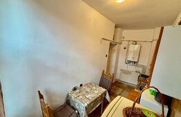 Apartament 1 camera, 33 mp, garaj, curte privata, zona Horea