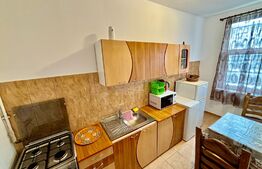 Apartament 1 camera, 33 mp, garaj, curte privata, zona Horea