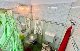 Apartament 1 camera, 33 mp, garaj, curte privata, zona Horea