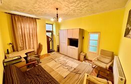 Apartament 1 camera, 33 mp, garaj, curte privata, zona Horea