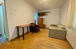 Garsoniera, 25mp, pet-friendly, balcon, Zorilor, UMF