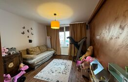 Apartament 3 camere, 70 mp, parcare, petfriendly, zona Tineretului 